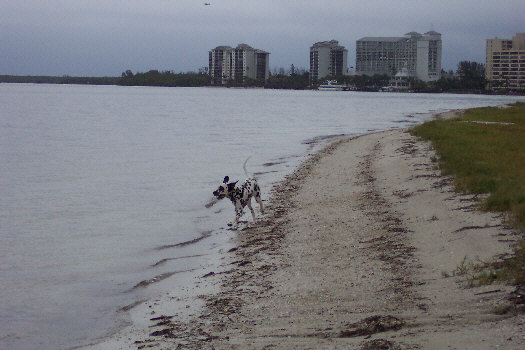 Baden auf der Insel Sanibel