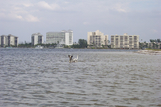 Baden auf der Insel Sanibel