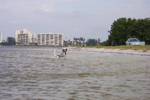 Baden auf der Insel Sanibel