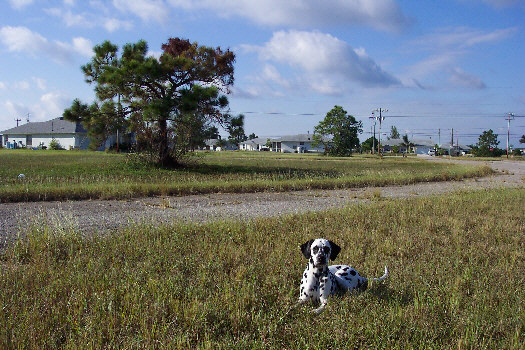 Morgenspaziergang in Cape Coral